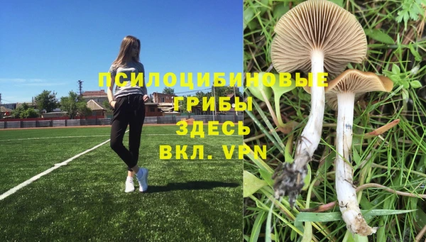 PSILOCYBIN Балахна