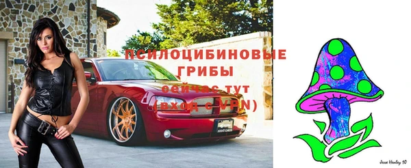 стафф Балабаново