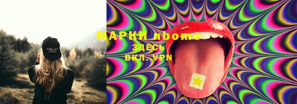 PSILOCYBIN Балахна